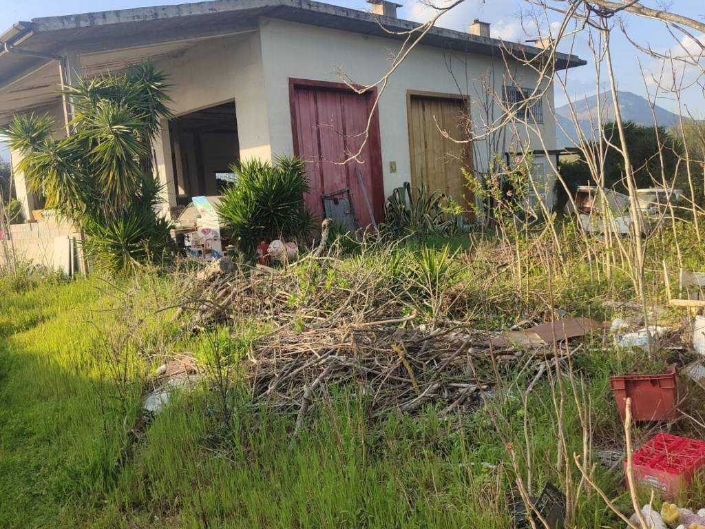 immagine annuncio 1 di 3