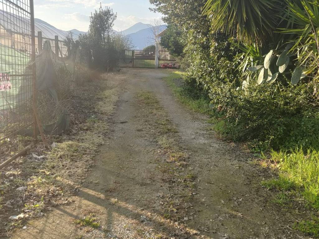 immagine annuncio 2 di 3