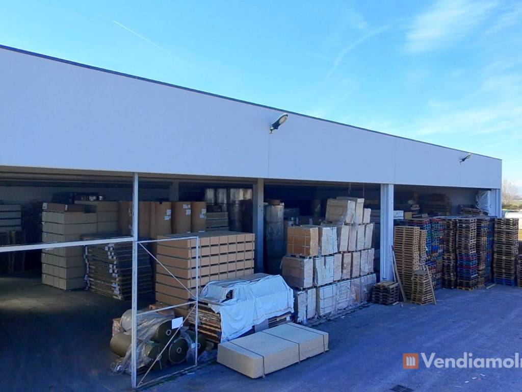 immagine annuncio 3 di 5