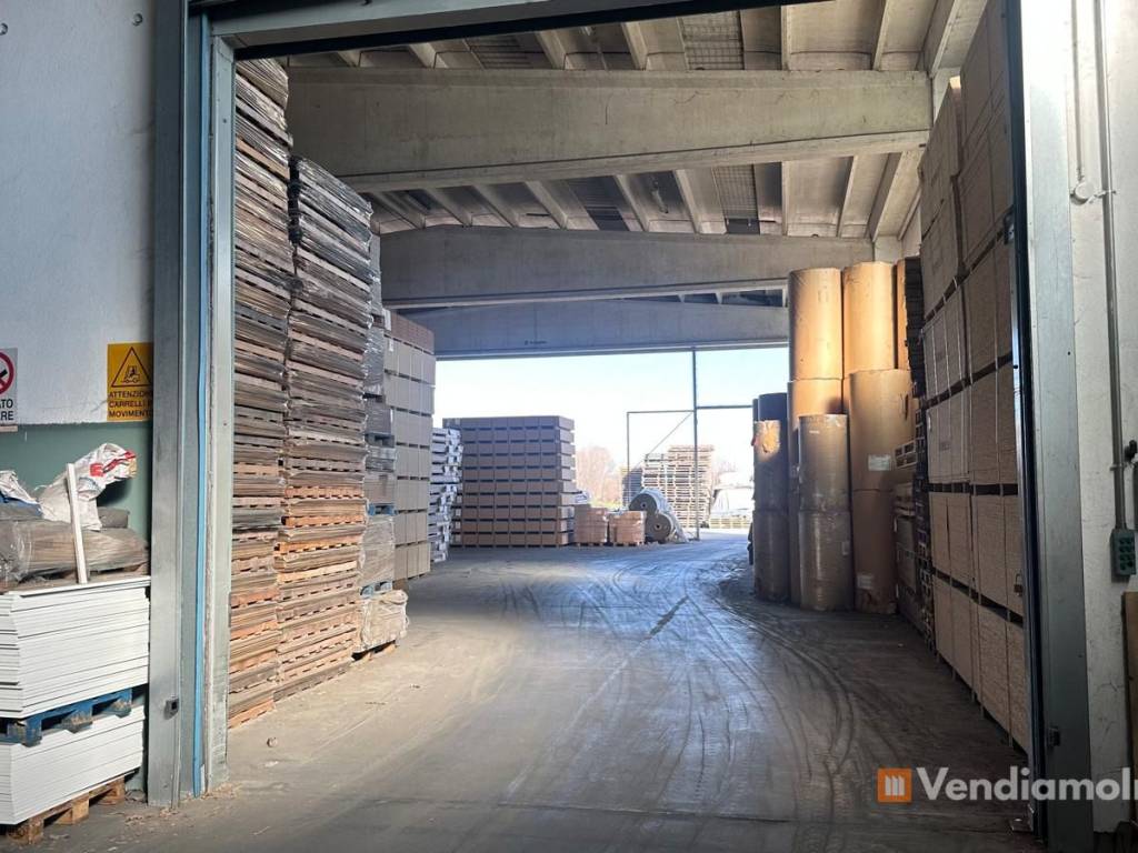 immagine annuncio 4 di 5