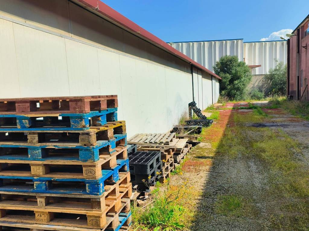 immagine annuncio 4 di 5