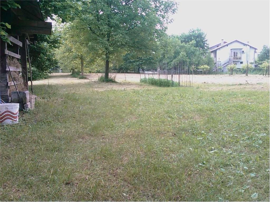 immagine annuncio 1 di 4