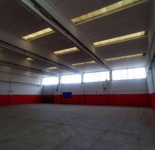 immagine annuncio 4 di 5