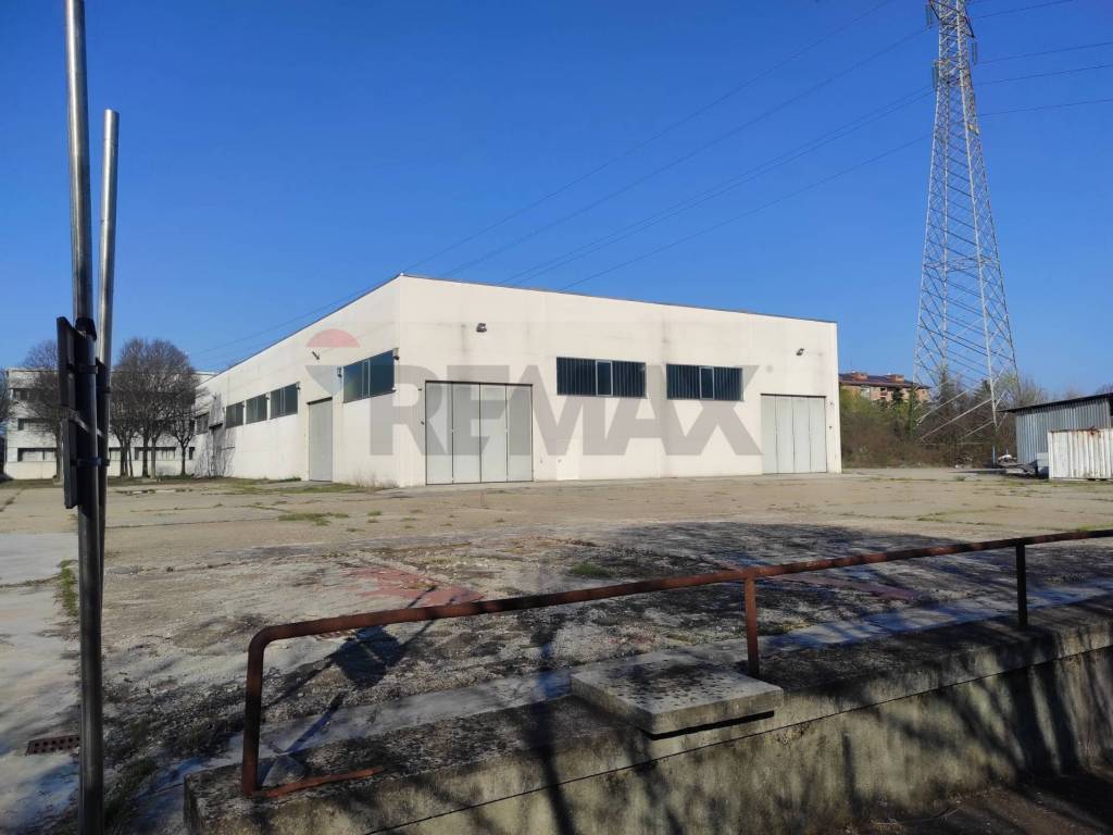 immagine annuncio 3 di 5