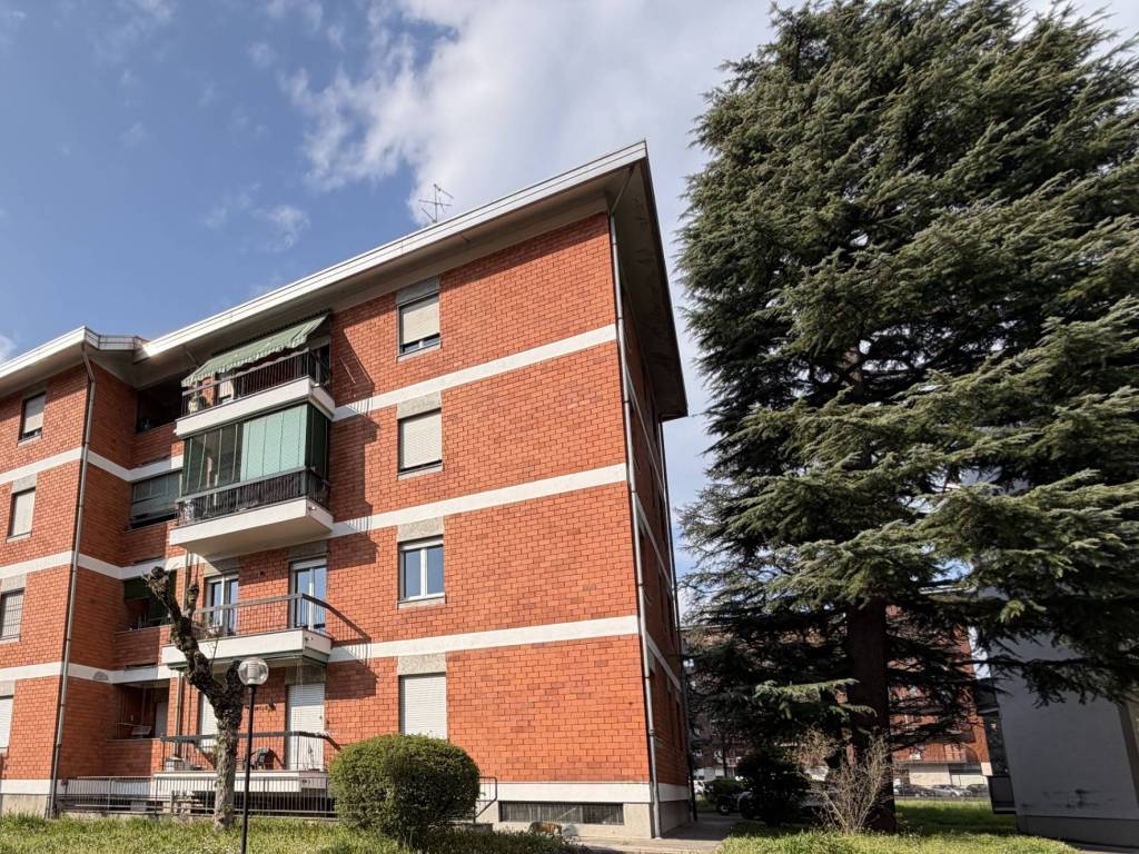 immagine annuncio 1 di 5