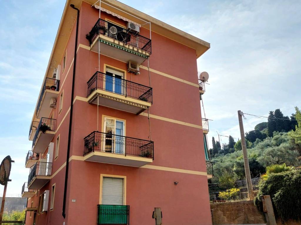 immagine annuncio 1 di 3