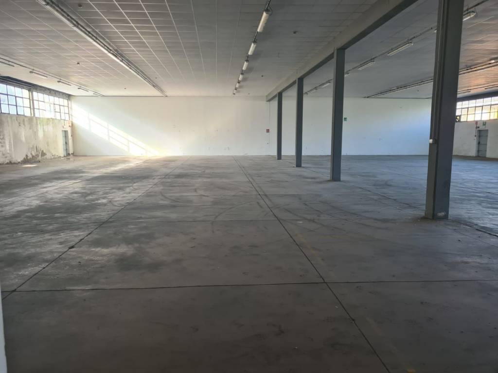 immagine annuncio 3 di 5