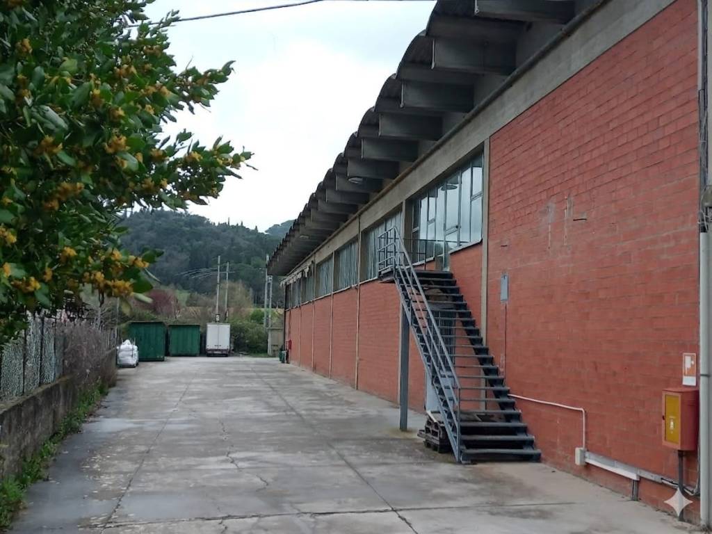 immagine annuncio 1 di 2