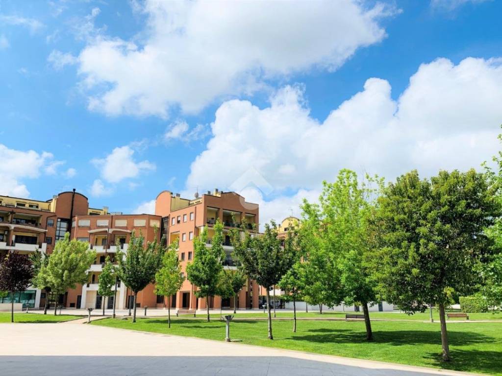 immagine annuncio 2 di 4