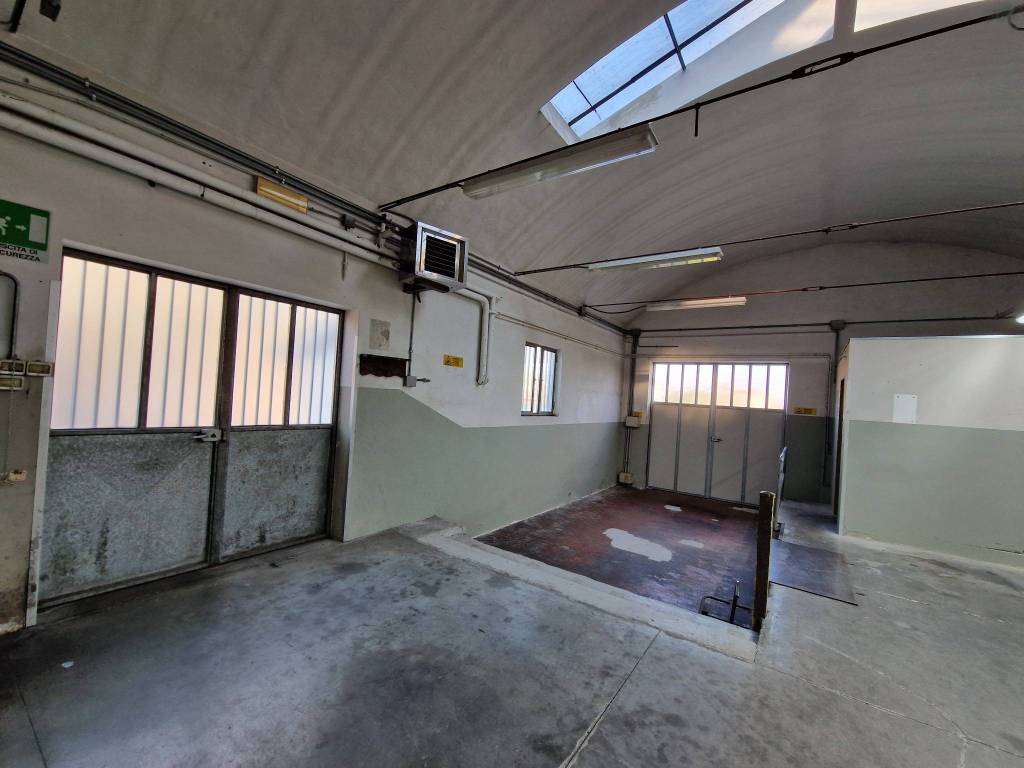 immagine annuncio 4 di 5