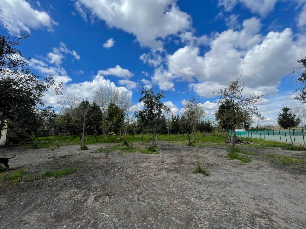 immagine annuncio 1 di 4