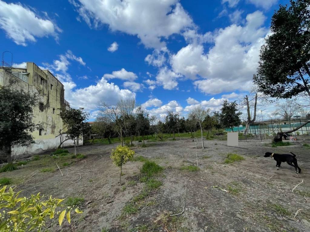 immagine annuncio 2 di 4