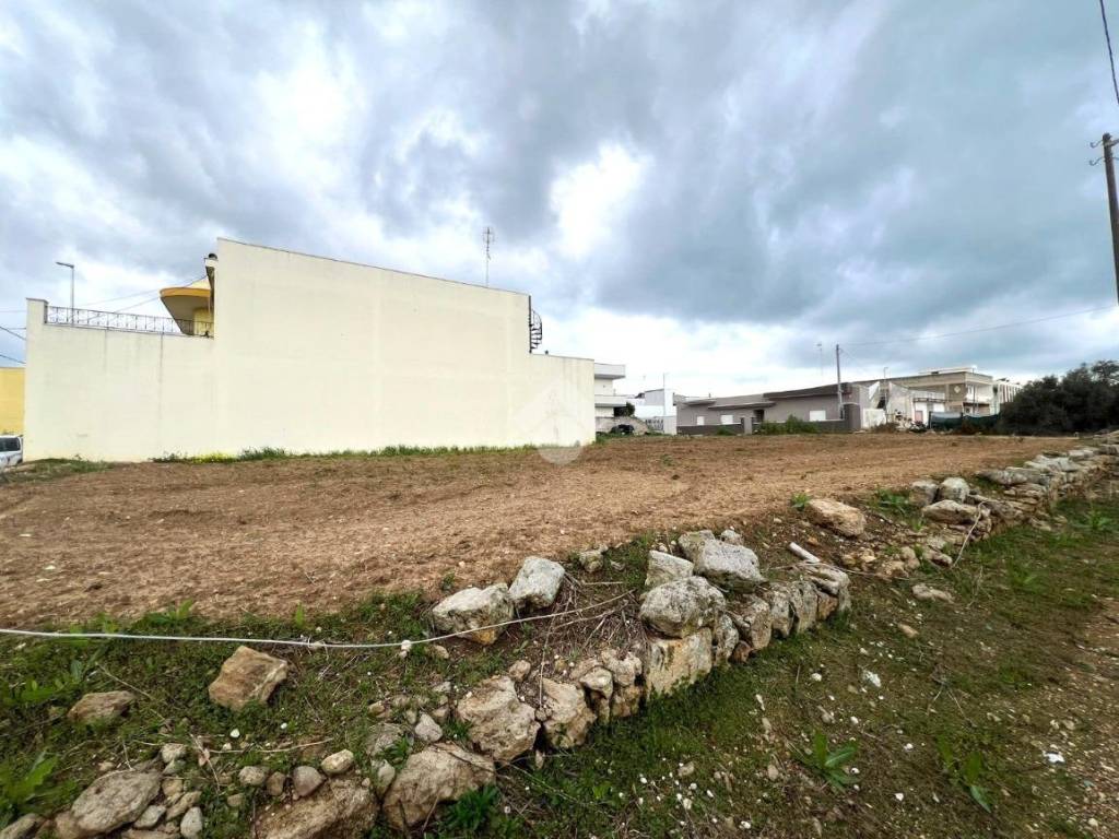 immagine annuncio 1 di 2