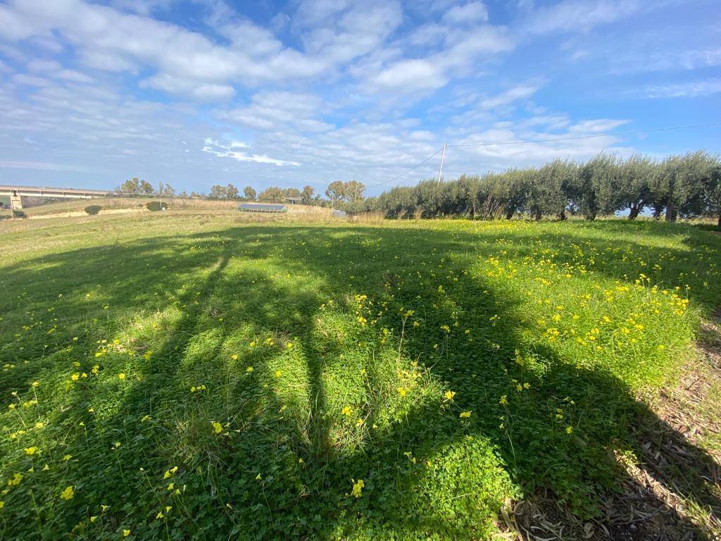 immagine annuncio 2 di 4