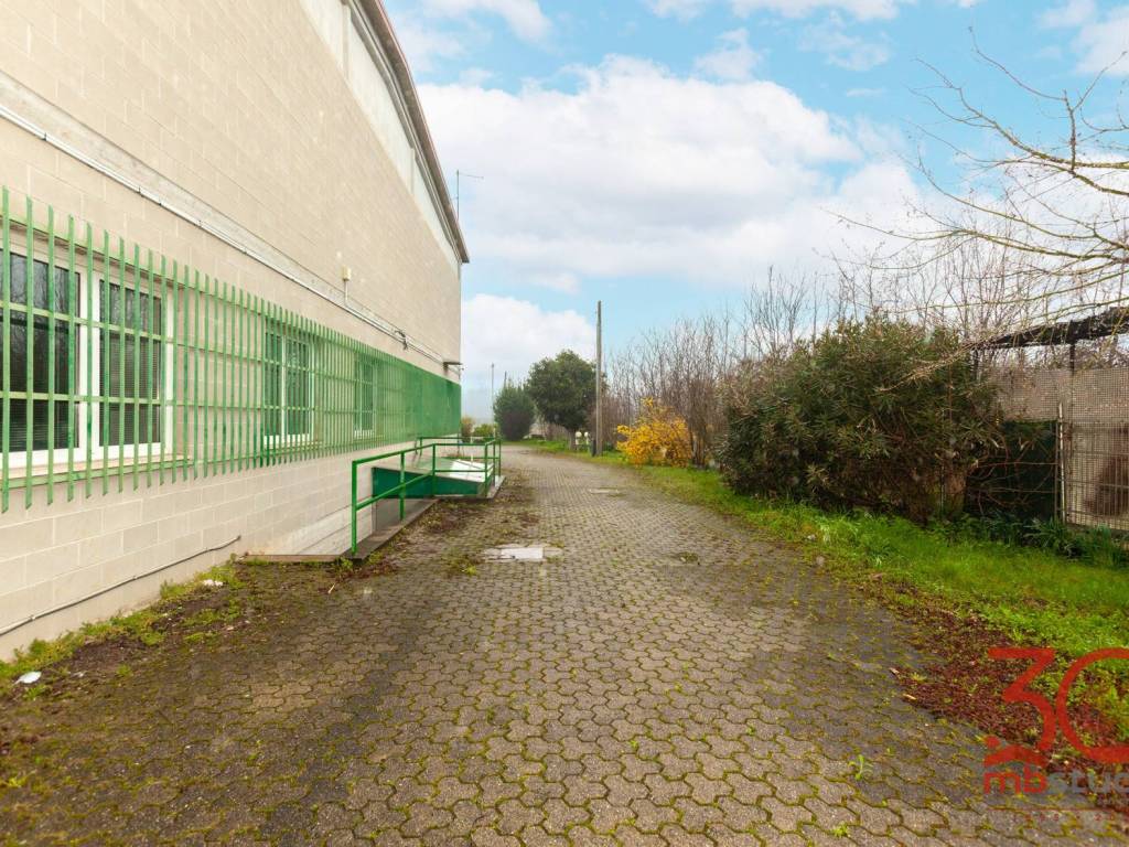 immagine annuncio 2 di 5