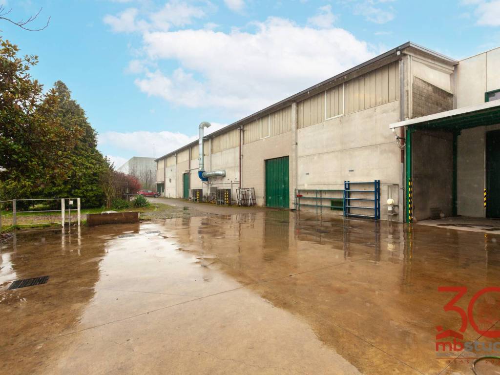 immagine annuncio 4 di 5