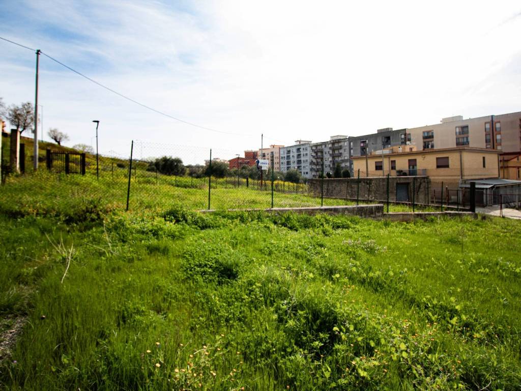 immagine annuncio 3 di 4