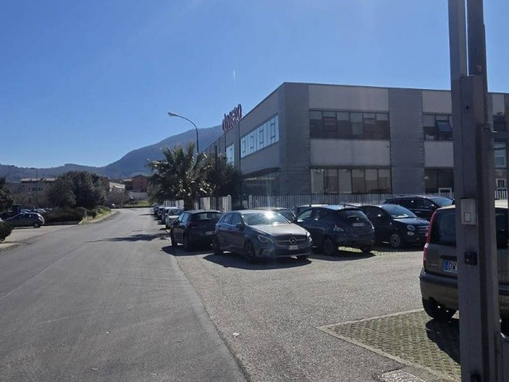 immagine annuncio 1 di 4