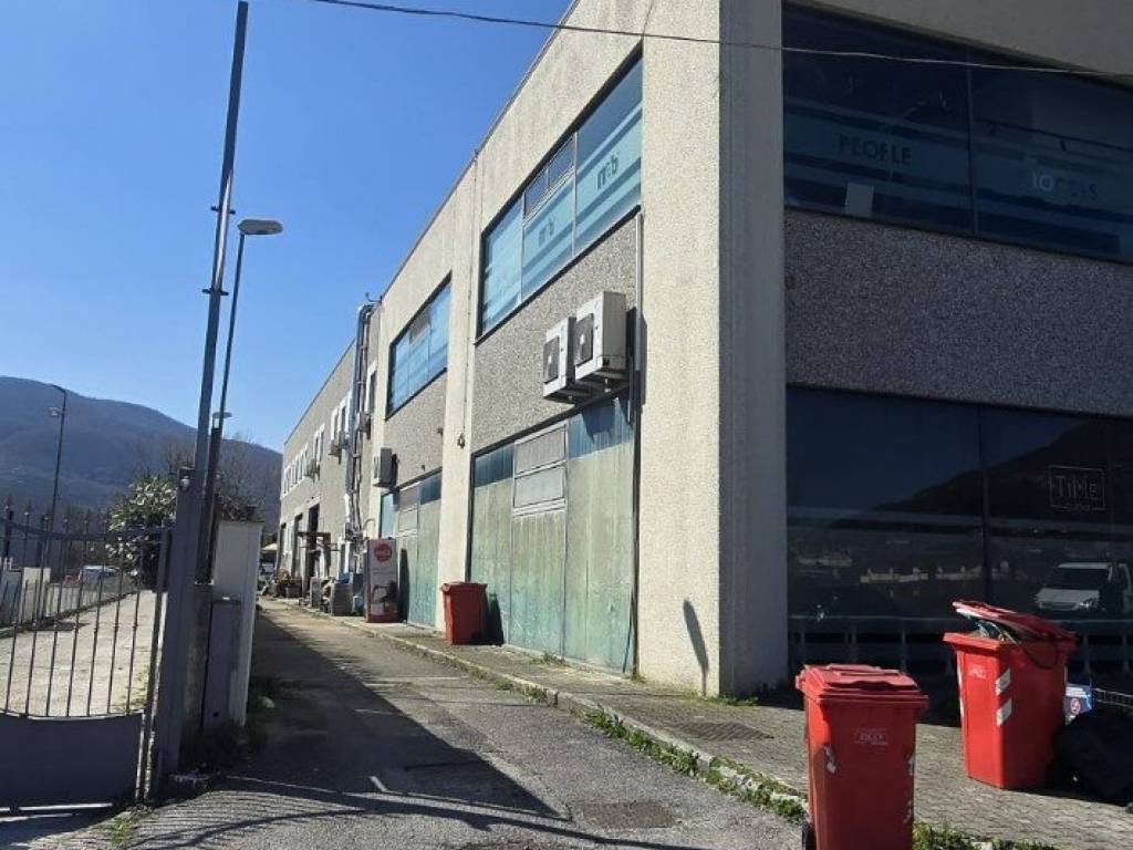 immagine annuncio 3 di 4