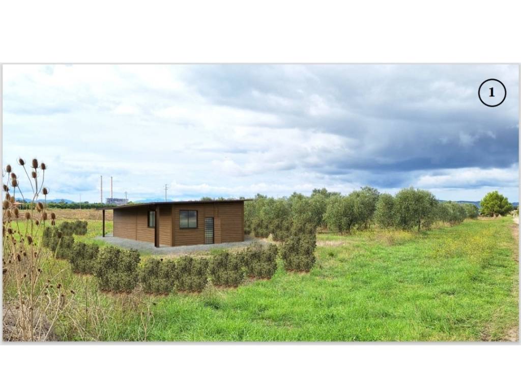 immagine annuncio 4 di 5