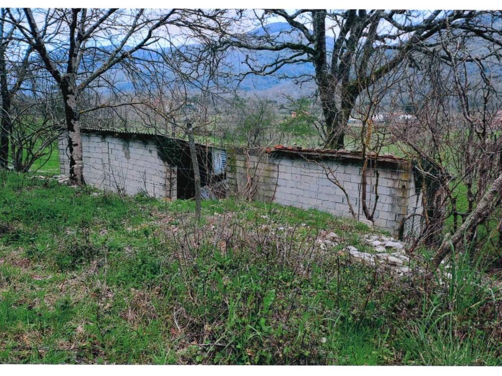 immagine annuncio 2 di 4