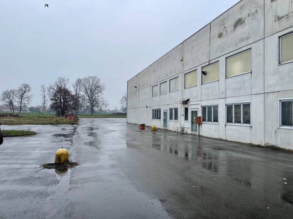 immagine annuncio 2 di 5