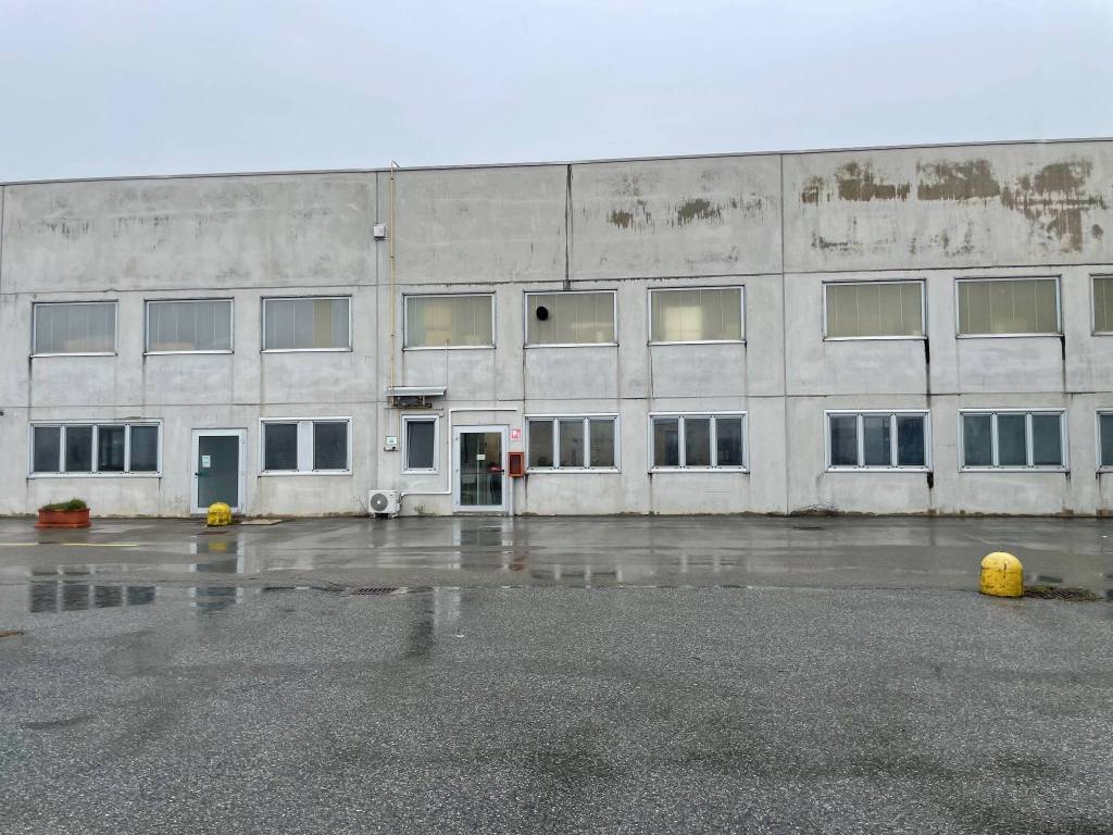 immagine annuncio 3 di 5