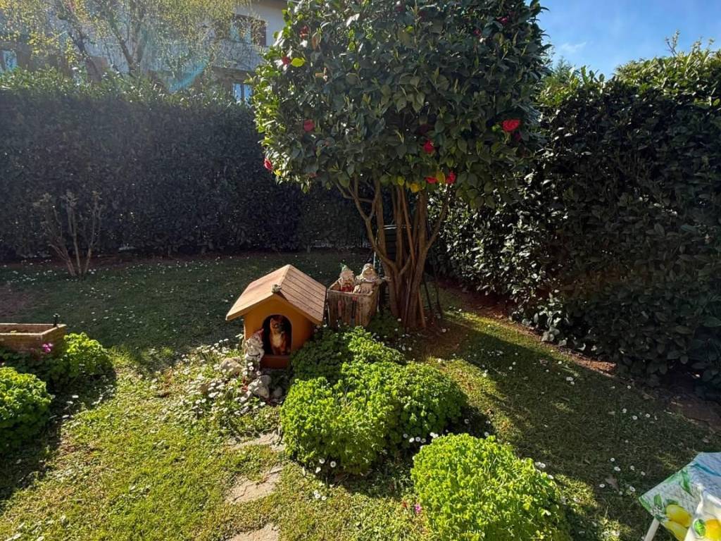 immagine annuncio 3 di 5