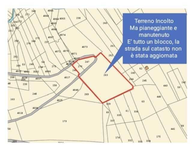 immagine annuncio 3 di 4