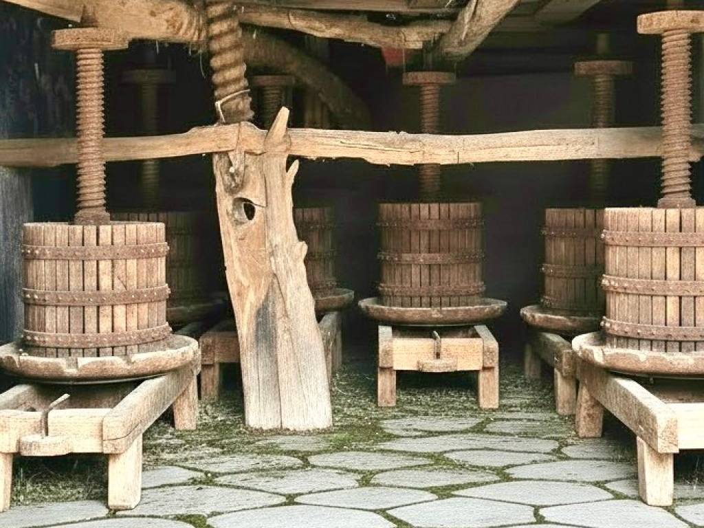 immagine annuncio 2 di 4