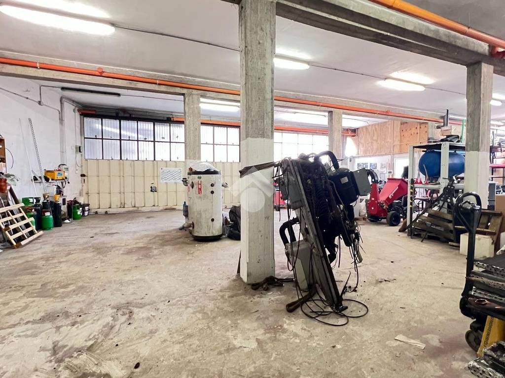 immagine annuncio 3 di 5