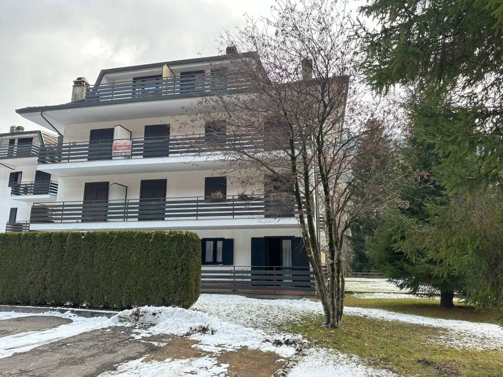 immagine annuncio 3 di 4