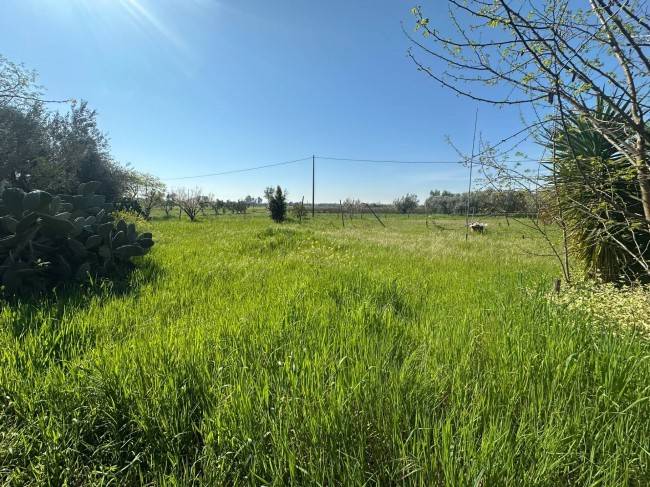 immagine annuncio 1 di 3