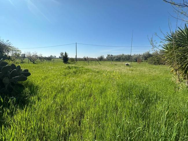 immagine annuncio 2 di 3