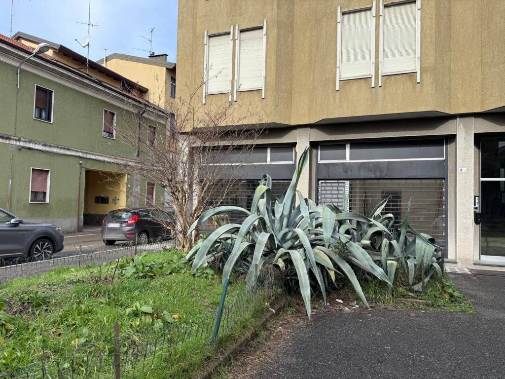 immagine annuncio 1 di 5