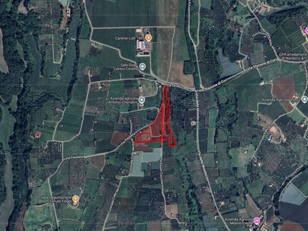 immagine annuncio 1 di 3