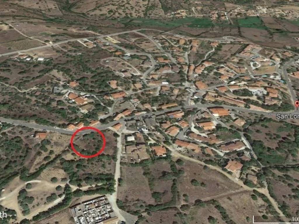 immagine annuncio 2 di 4