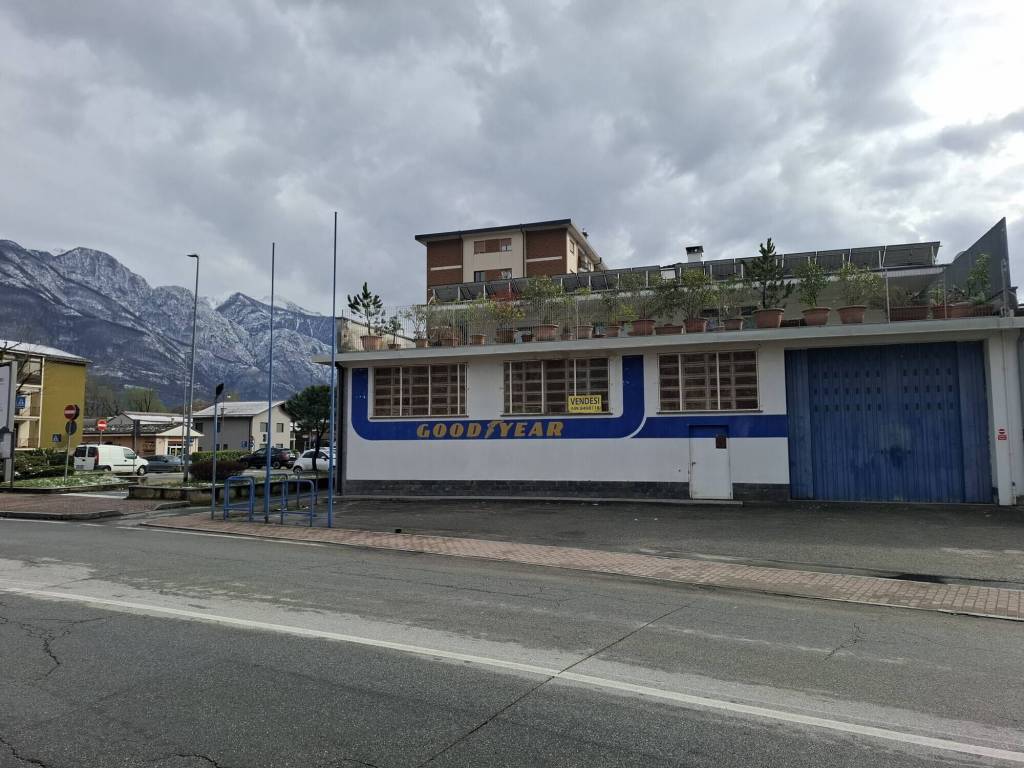 immagine annuncio 1 di 5