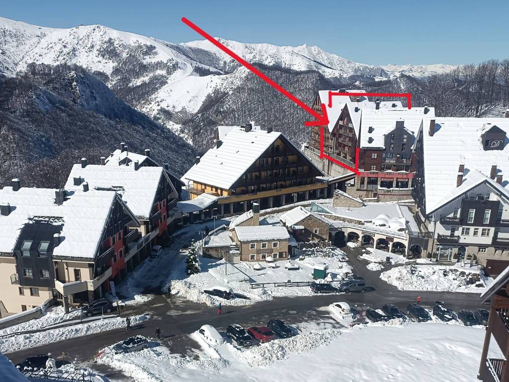 immagine annuncio 2 di 5