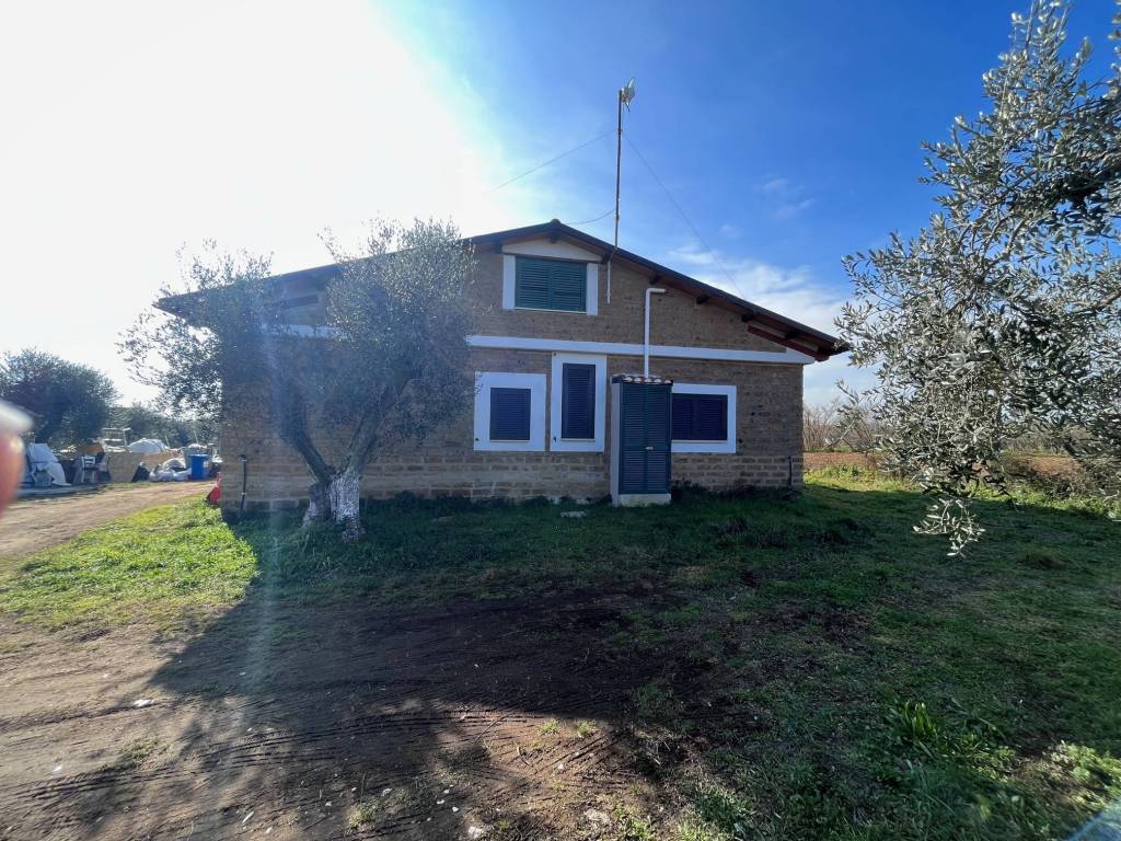 immagine annuncio 1 di 4