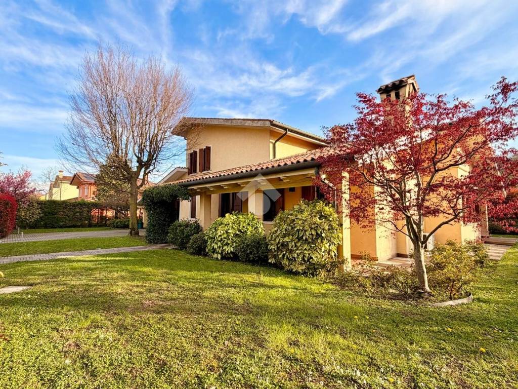 immagine annuncio 2 di 5