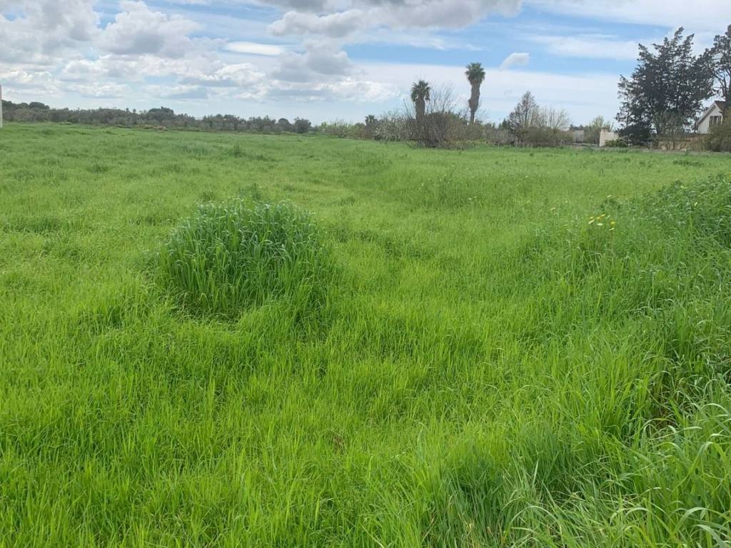 immagine annuncio 2 di 3