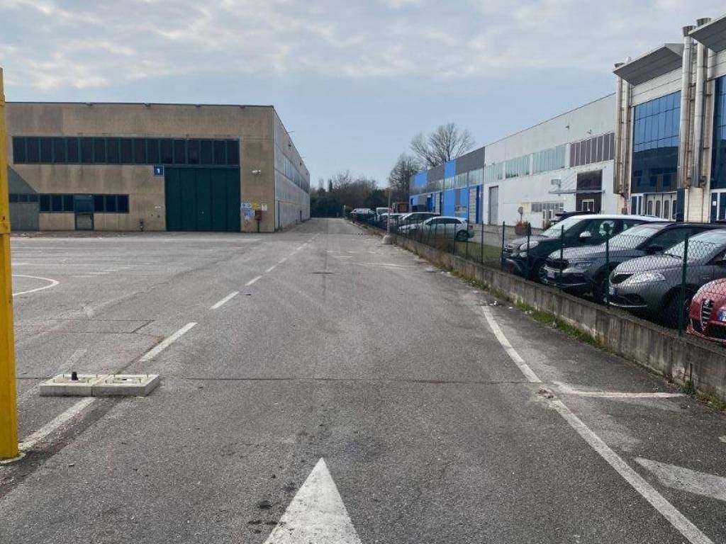 immagine annuncio 4 di 5