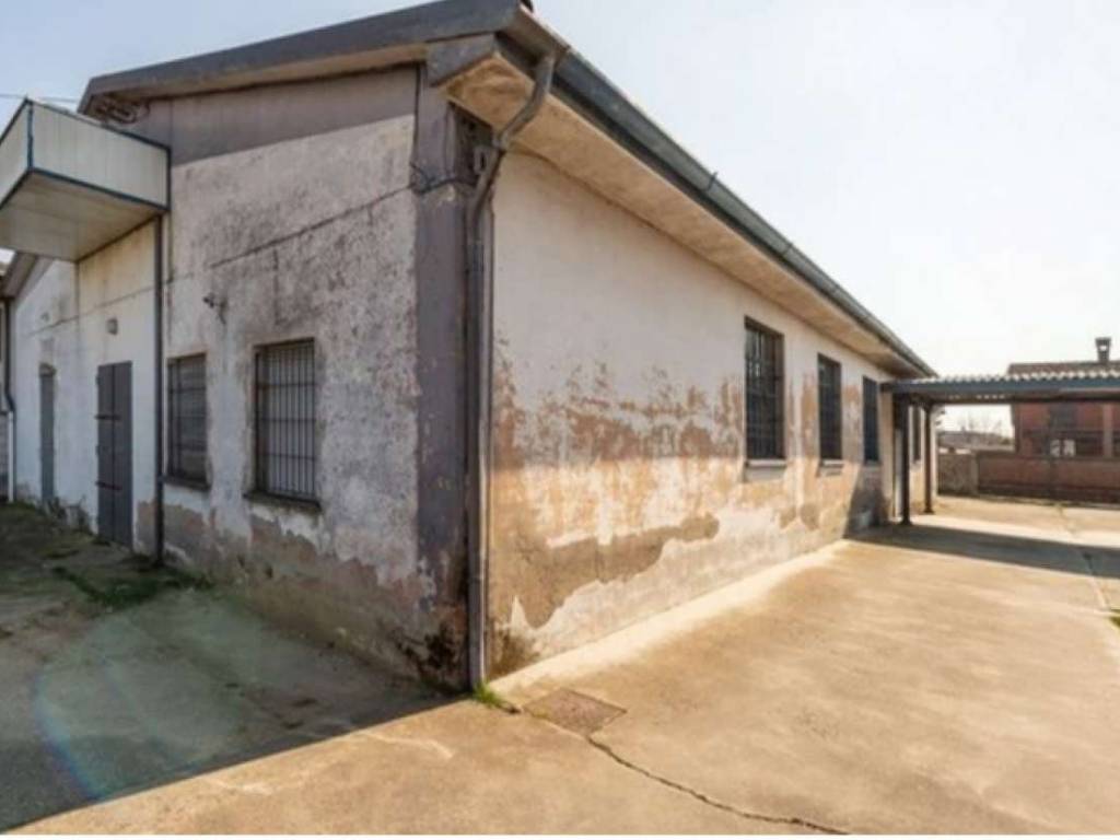 immagine annuncio 1 di 5