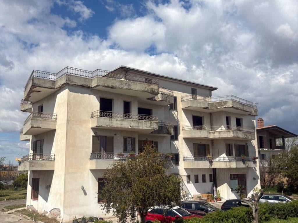 immagine annuncio 2 di 4