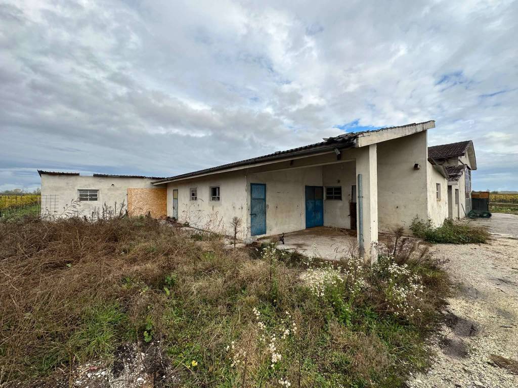 immagine annuncio 2 di 5