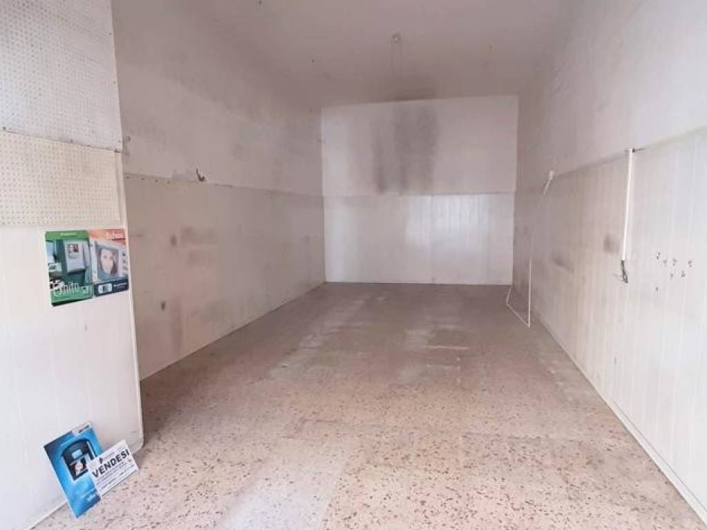 immagine annuncio 1 di 4