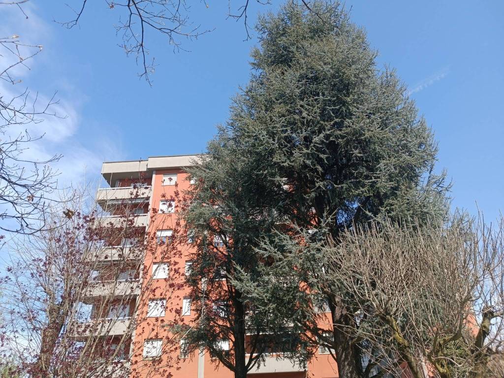 immagine annuncio 4 di 5