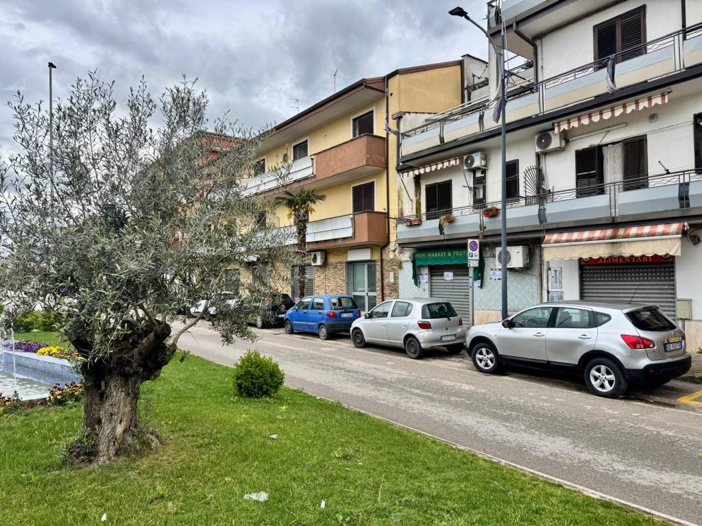 immagine annuncio 1 di 4