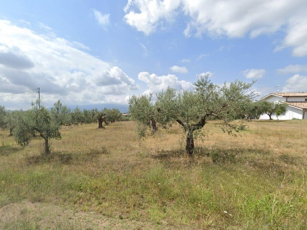 immagine annuncio 1 di 4